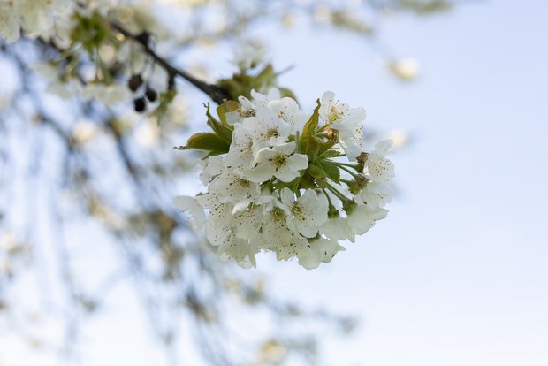 Frühlingsferien an der KUS, Bild: Stella Borowski (G4d)