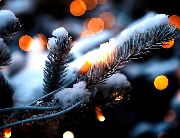 Bild: Annika Marinheiro (G4i)