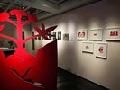 Führung durch die Ausstellung «Von Ginseng träumen» im Völkerkundemuseum
