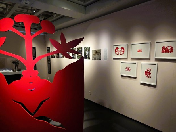Führung durch die Ausstellung «Von Ginseng träumen» im Völkerkundemuseum