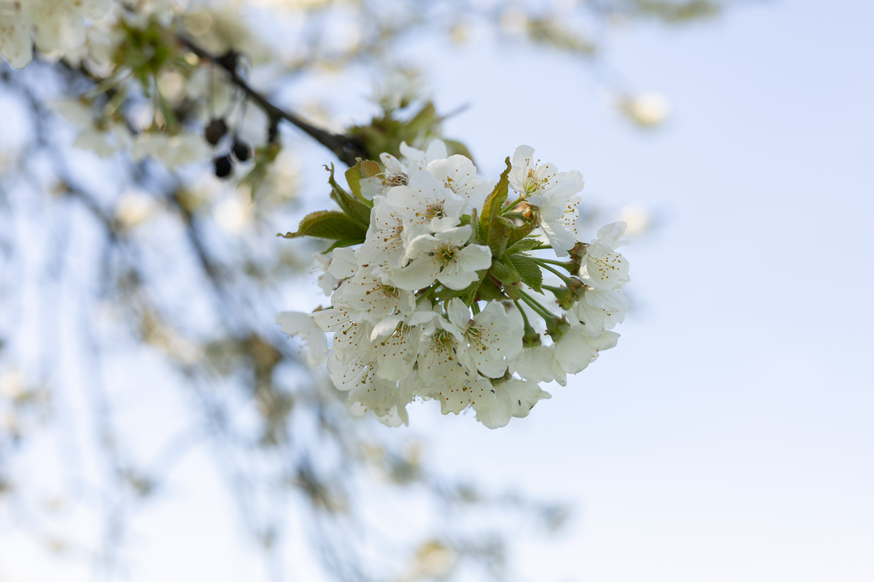 Frühlingsferien an der KUS, Bild: Stella Borowski (G4d)